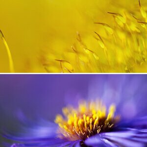 Naturfotografie