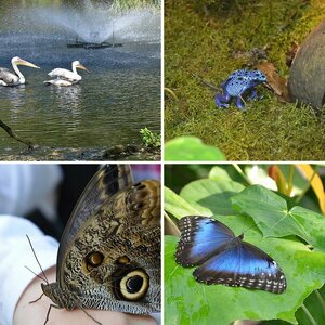 Tiergarten Nürnberg