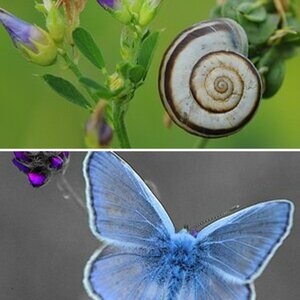Makro 2