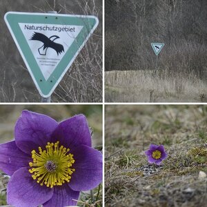 Bilder
