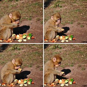 Zoo Erfurt