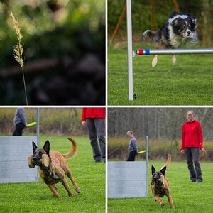 Bilder zum zeigen