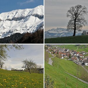 Am Anfang steht der Anfang