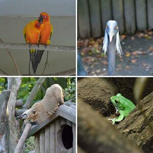 Zoo Augsburg