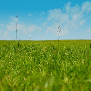 Landschaft