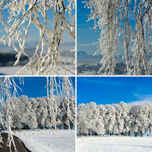 Natur