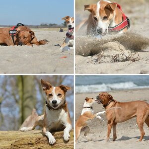Kyra und Anni - neu- 2013