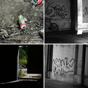 Fotosafari