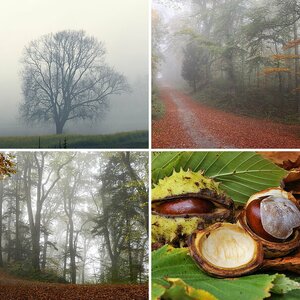 Herbst