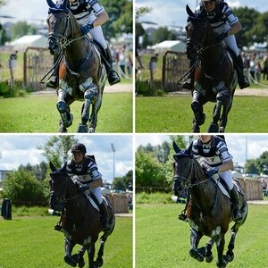 Reitsport