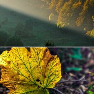Herbst