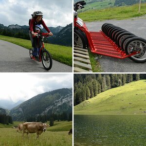 Alp Sigel  /Schweiz Alpsteingebige