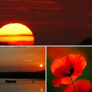 Sunset am Ufer von Fehmarn