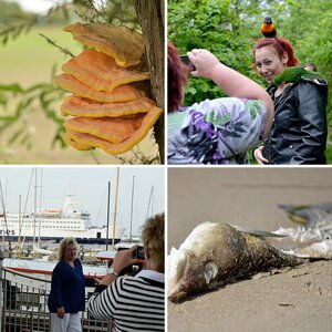 Verschiedenes und Fotos für Bildbesprechungen