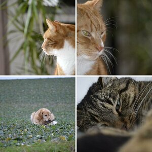 Unsere Tiere