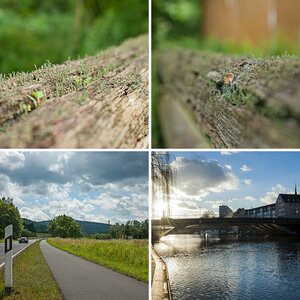 Beispiel Bilder