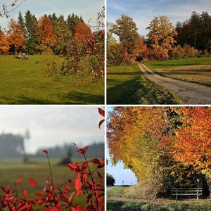 Bodenseeregion 3