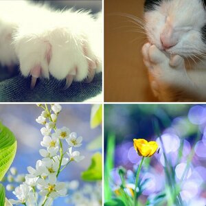 Tiere und Natur