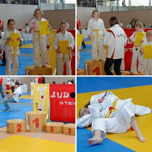 _NFF Judo Steinheim