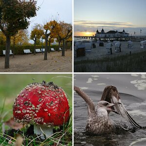 Usedom