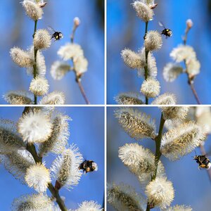 Frühling/Herbstbilder