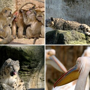 Zoo Basel