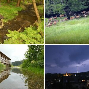 Fotos aus dem Wittgensteiner Land
