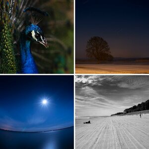 Meine Fotos