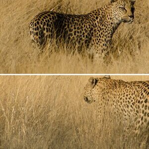 Namibia