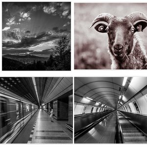 Bilder
