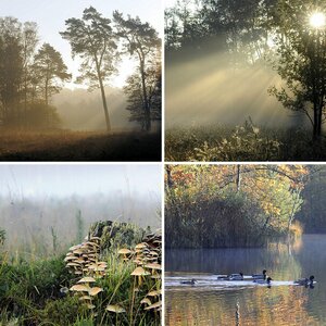Herbst 2011