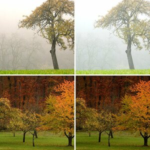 Herbst