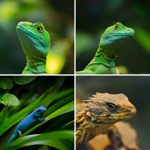 Exotarium Frankfurter Zoo