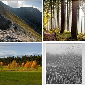 Herbst