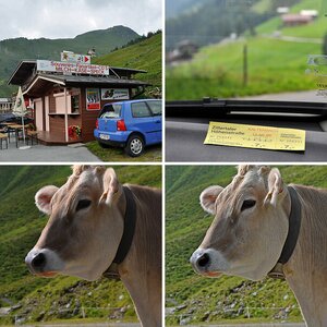 Wanderungen