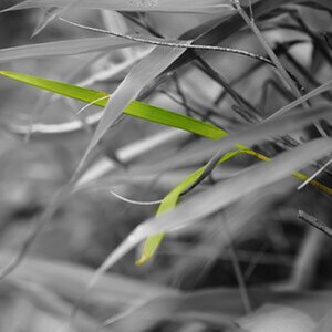 Colorkey