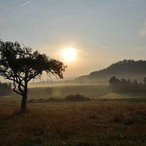 Herbst