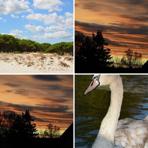 Meine Fotos