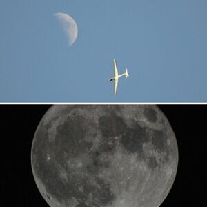 Mond