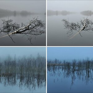 Hasenmoor März 2011
