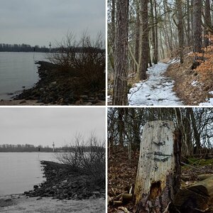 Spaziergang an der Elbe