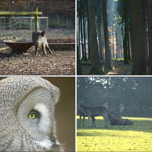 Wildpark Poing