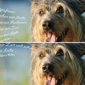 ... ich sehe und fühle mit dem Herzen