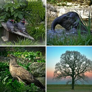 Natur