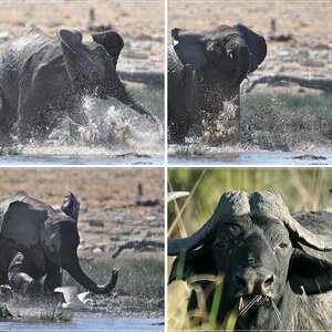 Namibia / Botswana 2011
