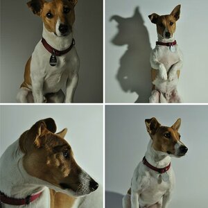 Fotoshooting