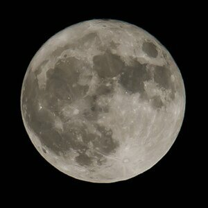 Mond