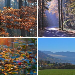 Herbst