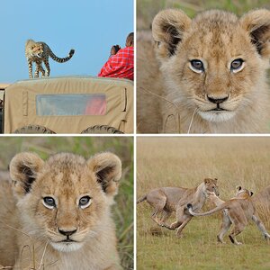 Kenia März 2013 II