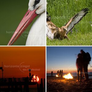 Workshops Horizonte Zingst